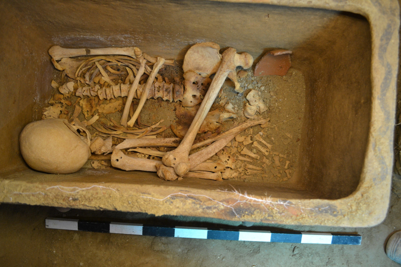 Illustration for article titled Un granjero descubre una tumba de 3400 años con docenas de reliquias bajo un olivo